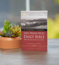 Life Principles Daily Bible VIP